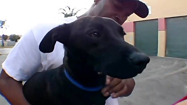 Samantha 38g And Lucas Stone - Puppy Love