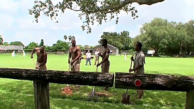 Tale From The Cotton Plantation