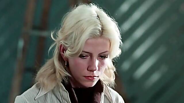 Rare Classic Porn Video Skin Flicks (1978)