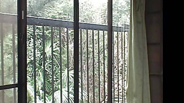 P012G01 The forbidden circumstances of the brother of the brother and the sister of the brother's wife,