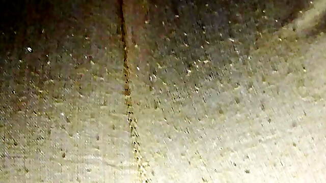 Desi bhabi hot video 