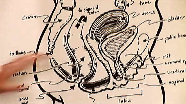 Factor C - FULL MOVIE