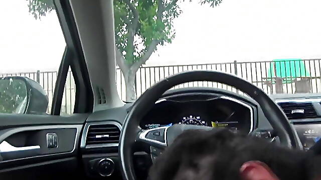Fan licks and fucks the BBW milf a creampie in the car!