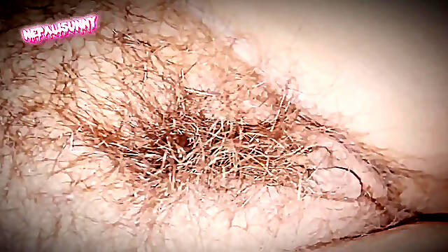 Nepali Hairy Pussycat