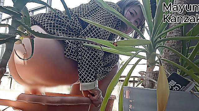 I Pee in the Potted Plant Again