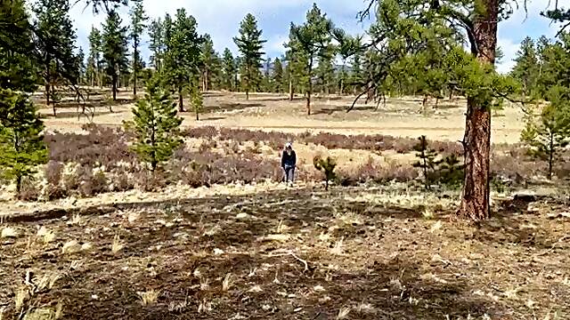 Camping with Step Mommy