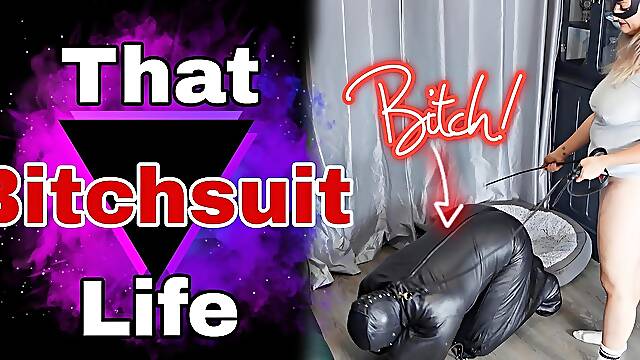 That Bitchsuit Life Femdom Slave Bondage