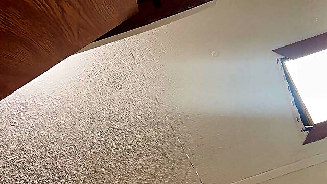 Should I Make More Contents Like This?